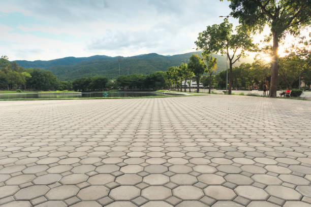 Best Custom Driveway Pavers  in Monongahela, PA
